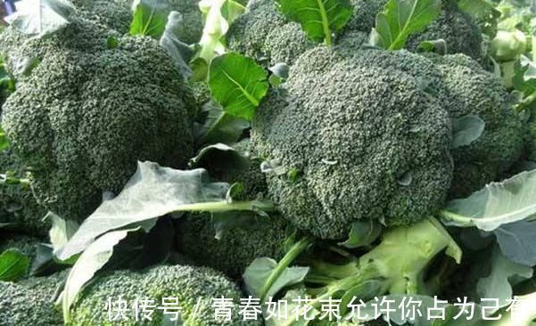 排毒养颜|女性多吃四种食物,排毒养颜延缓衰老,越吃子宫越干净,了解下