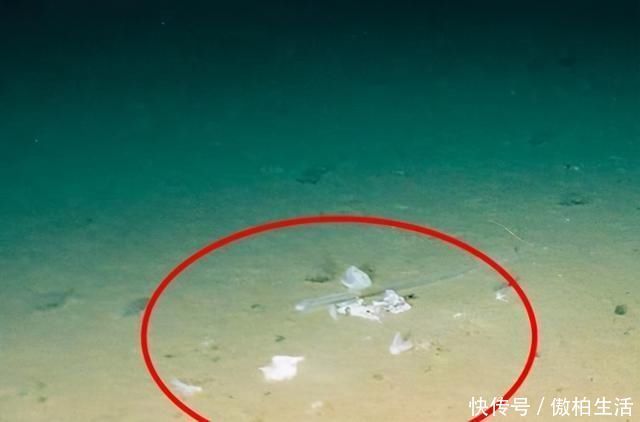 南北两极 卫星下的地球无人区,出现了大自然没有的物质,地球已无“净土”