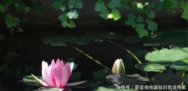 会发现|人生,慢慢地,才最美