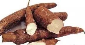 大鱼|教你如何配置诱钓大鱼的玉米粒窝料!