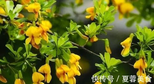 滋阴|人到中年想长寿，推荐吃3种食物，排出毒素，滋阴降火，延缓衰老