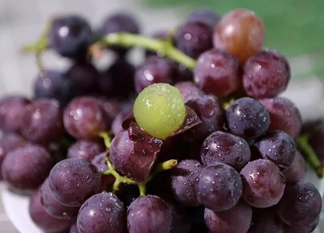 肝不好的人,建议多吃这4种水果,或能帮助提高肝功能,不妨了解