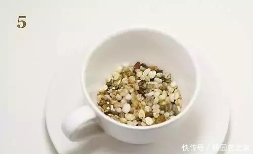 发芽的胡萝卜,吃剩的水果核都别扔,一周让家里长满绿植