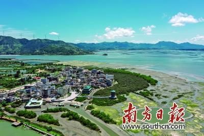 惠州打造大湾区“大花园”