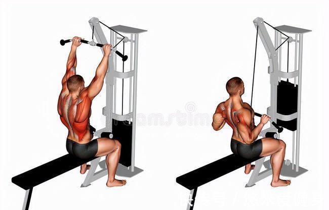 倒三角|背部肌肉的训练方法，3个部位8个动作，帮你打造完美倒三角身材