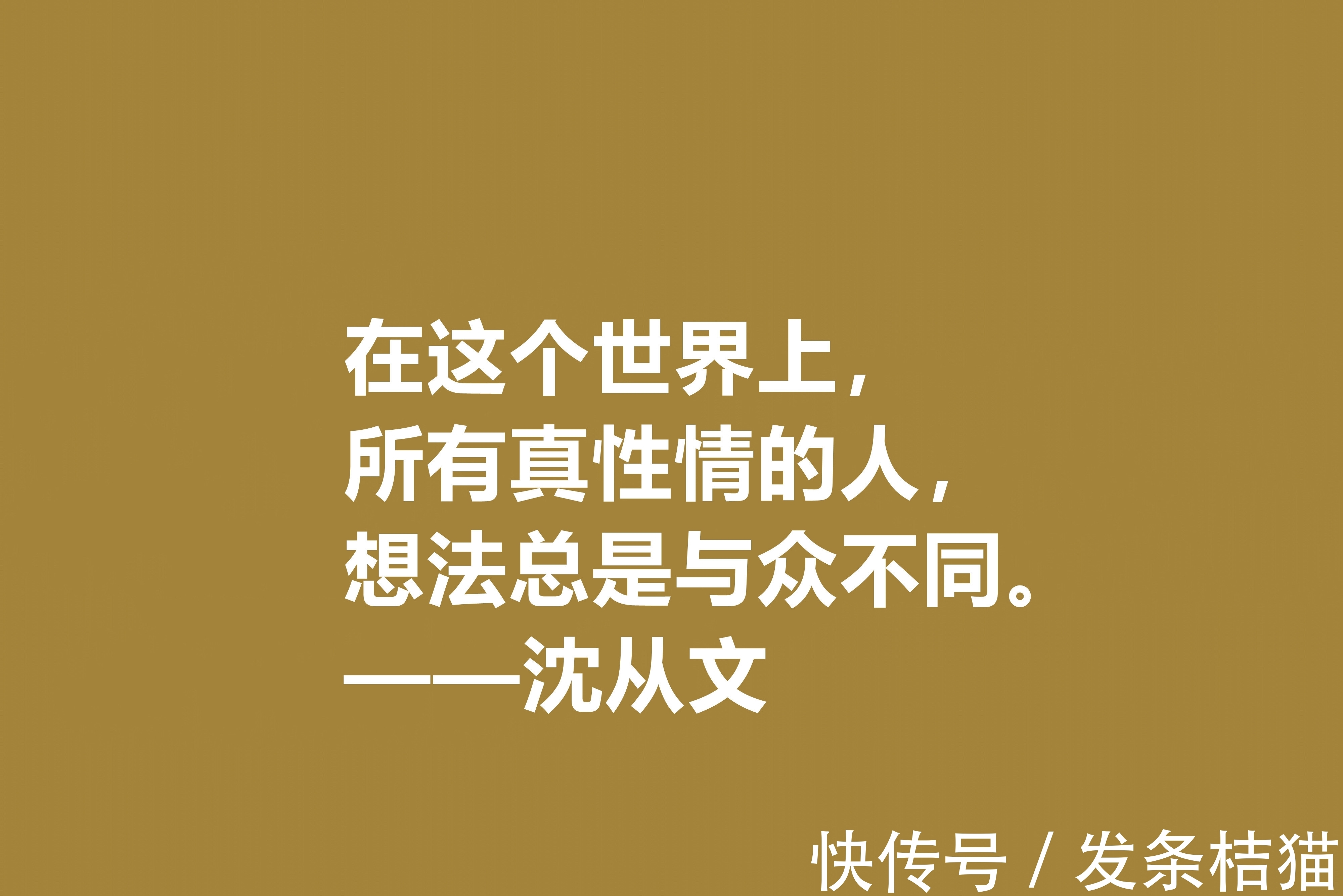 小说$深爱沈从文的小说，细品他十句格言，文化底蕴深厚，凸显其人生观