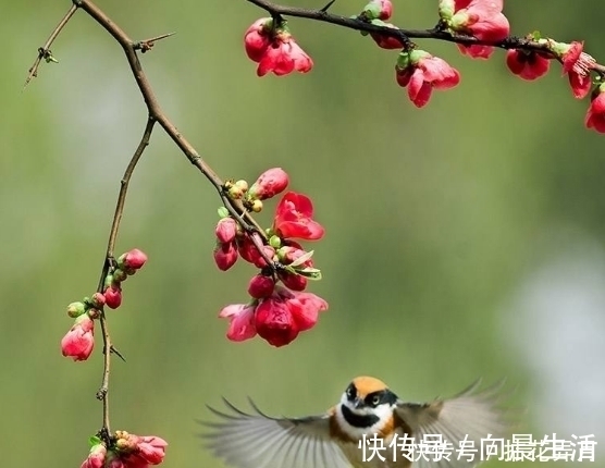 农历|出生在这几个月份的女人，中老年后福气才真正的到来，看看有你吗