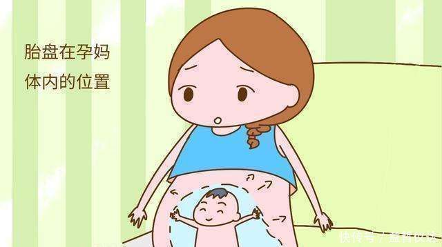 肚子|孕后最佳显怀时间是什么时候太早未必是好事,可能是4个原因