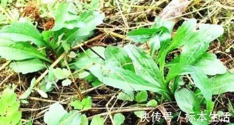 痔疮|有痔疮的人,不用动手术,常吃这些食物,痔疮慢慢就会消失