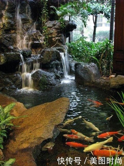 鱼池的设计|庭院鱼池:14个景观鱼池设计,学会这5点可以在院子里挖鱼池了