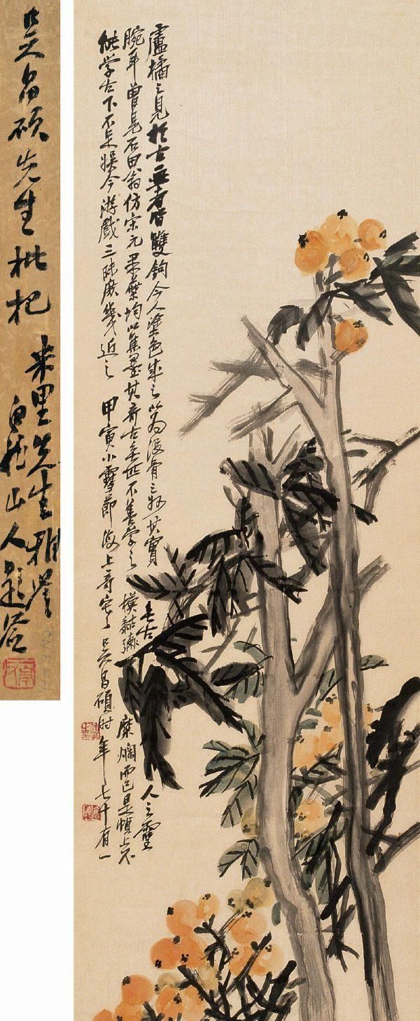 吴昌硕|春天里最期待吴昌硕家的枇杷一个个果大肉肥,让人看了都眼馋