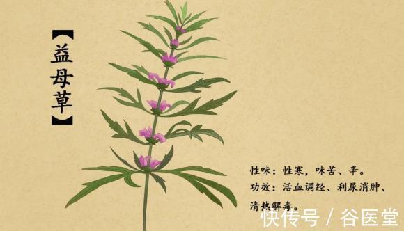 睡眠质量|谷医堂滋补膳食：宫寒，血瘀，常吃4种食物，解寒毒，调月经