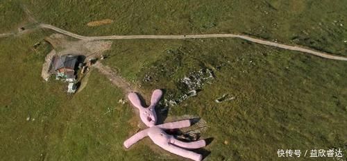 驴友|世界上最大的兔子玩偶，因游客太多被提前结束寿命，成为草地养料