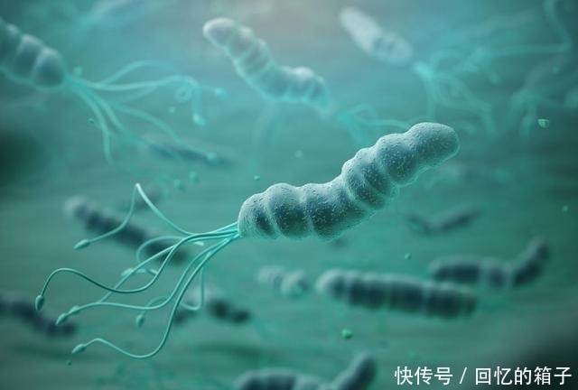 消化科|幽门螺杆菌阳性怎么办?必须要服药治疗吗?消化科医生说出真相