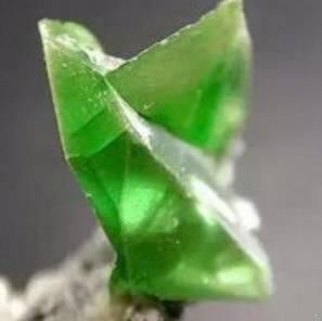 藏在广袤森林里的宝石矿