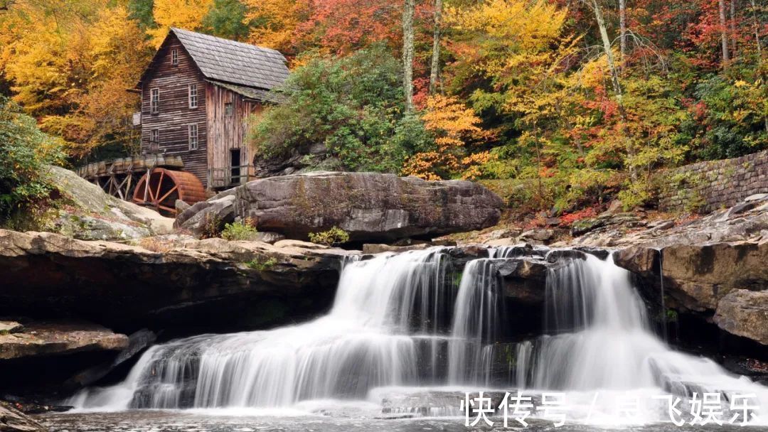 秋季|秋季养生,老中医告诉你,秋季可以多吃这4类东西,大补且养生