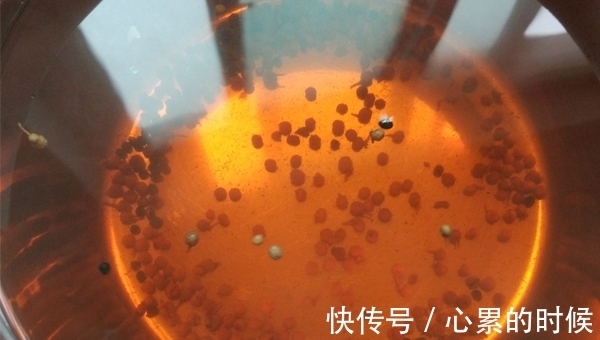 泡水|花椒和此物搭配一起泡水喝,润肠通便排毒素,腹间赘肉会慢慢消失