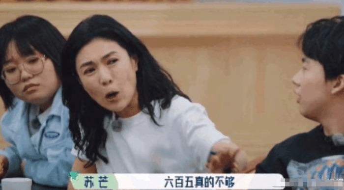 张翰 桃花坞刚开播就翻车,嘉宾说话“不带脑”,收视率让人担忧