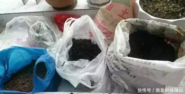 阳台别再晒衣服了,用一根水管,就能种出全家人吃的菜!