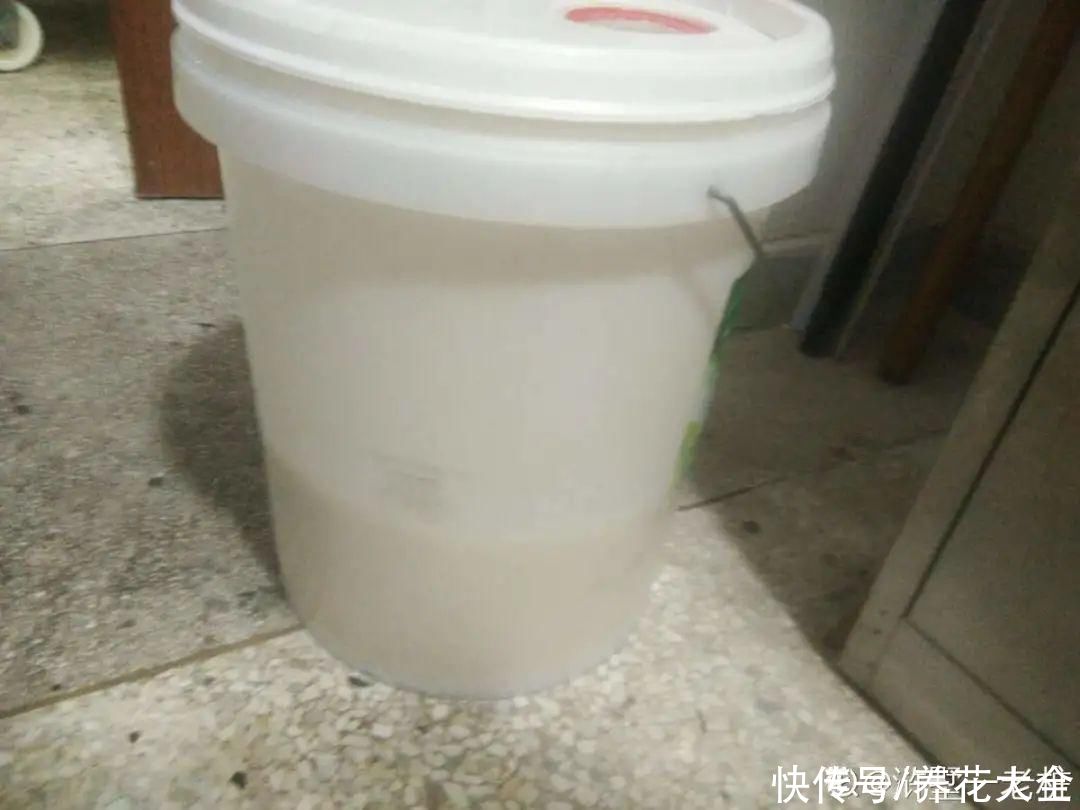 休眠|7种情况不能施肥,像毒药一样,浇完花就烧死