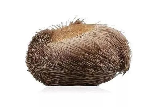 古方|瘀血除，百病消！一个古方，通窍活络，行气活血，全身瘀血都消除