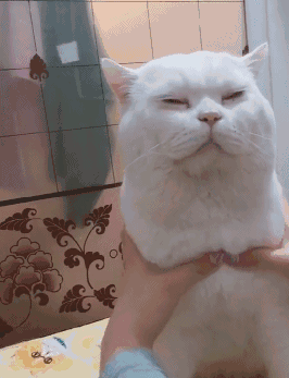 |搞笑图片:当大家都在担心人工智能将要统治世界的时候。