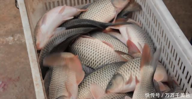 弯路|这里是钓黑坑的深度经验,让你少走5年弯路,让你少花5K冤枉钱