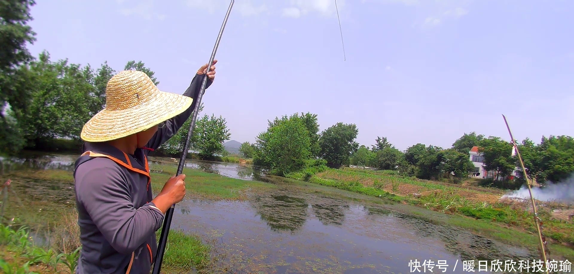 初夏钓黑鱼黄金季,手竿已钓数十条,攻略技巧分享