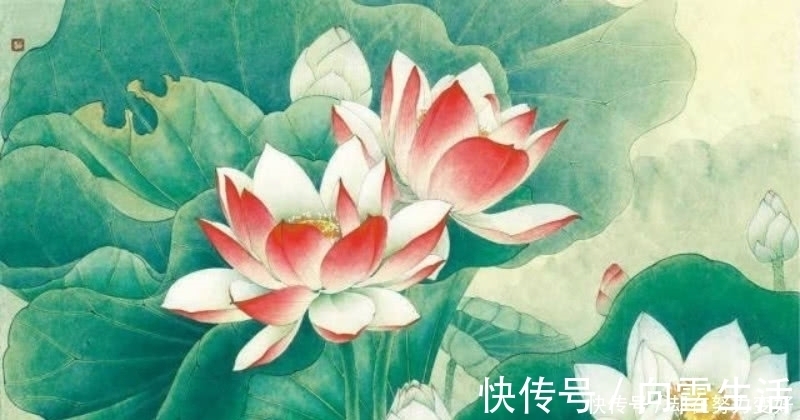 诗人&杨万里最唯美的一首诗,短短的四句,却是写出了世间最美的荷花!