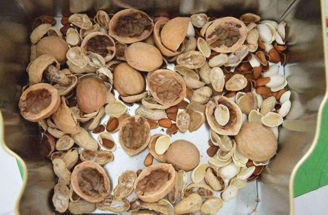 绿色植物|养花还买花肥家里的此几样“垃圾”扔盆里,植物叶油绿、开花艳