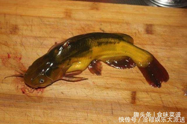  东北有句俗语，“鲶鱼炖茄子，撑死老爷子”，你知道什么意思吗