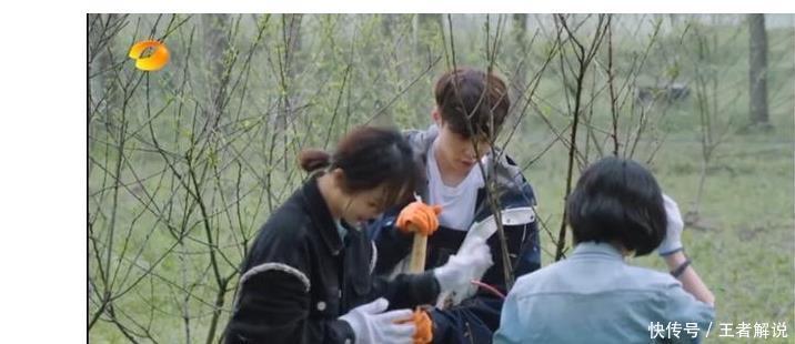 迪丽热巴|迪丽热巴吴磊姐弟爆火后,张艺兴杨紫强行姐弟营业,引网友热议