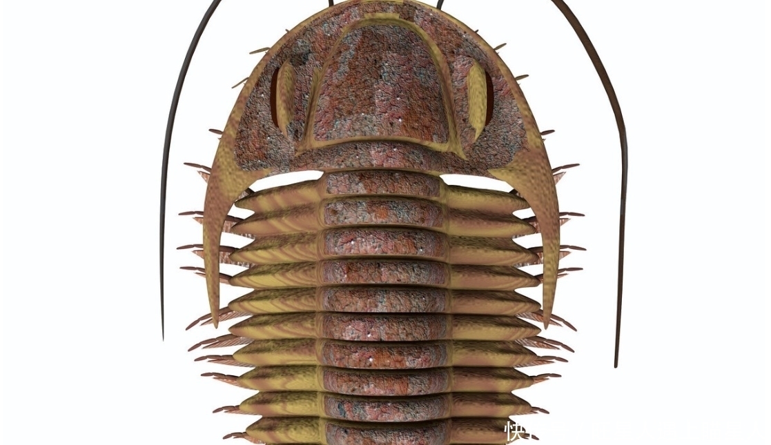 时速79万公里，46亿年绕银河系20圈，太阳带着地球在飞奔