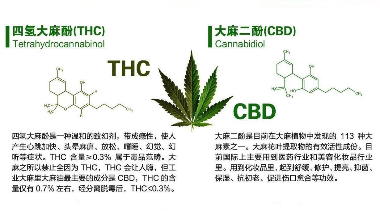 深扒xdg水杨酸净颜祛痘次抛精华液怎么样 好用吗 全网搜