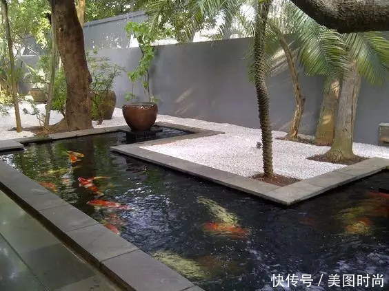 鱼池的设计|庭院鱼池:14个景观鱼池设计,学会这5点可以在院子里挖鱼池了