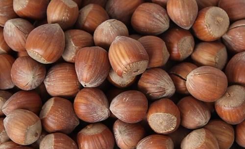 东北山里的号称“干果之王”的山货，榛子，营养很高，你喜欢么