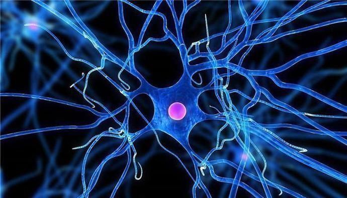 老人|“寿命决定期”就在60岁,老人有以下4个“爱好”,长寿会更青睐