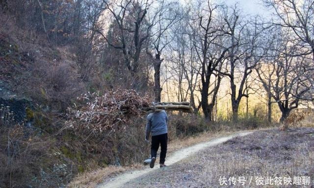 如果不是看过卫星地图，谁也不会相信，秦岭这个地方还藏着一条沟