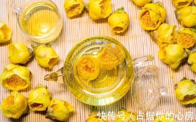 花朵|此花被誉为“植物黄金”,营养丰富,家里养一盆观赏食用皆可