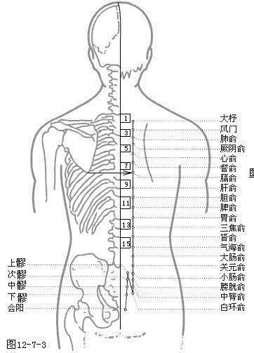 生殖系统|华佗松筋健康法夹脊穴养护心肝脾肺肾，比膀胱经的作用更明显