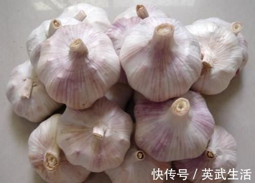 储存|大蒜总是发芽变坏？教你三个储存小技巧，放久也依然新鲜