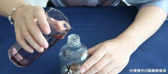 家庭|当洗衣粉碰到白糖,作用超乎想象,能解决你的家庭大难题