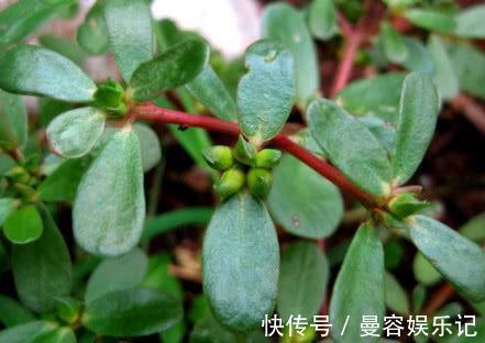 消炎|痔疮反复发作太难受?教你几招,消炎止痛,帮你远离痔疮困扰