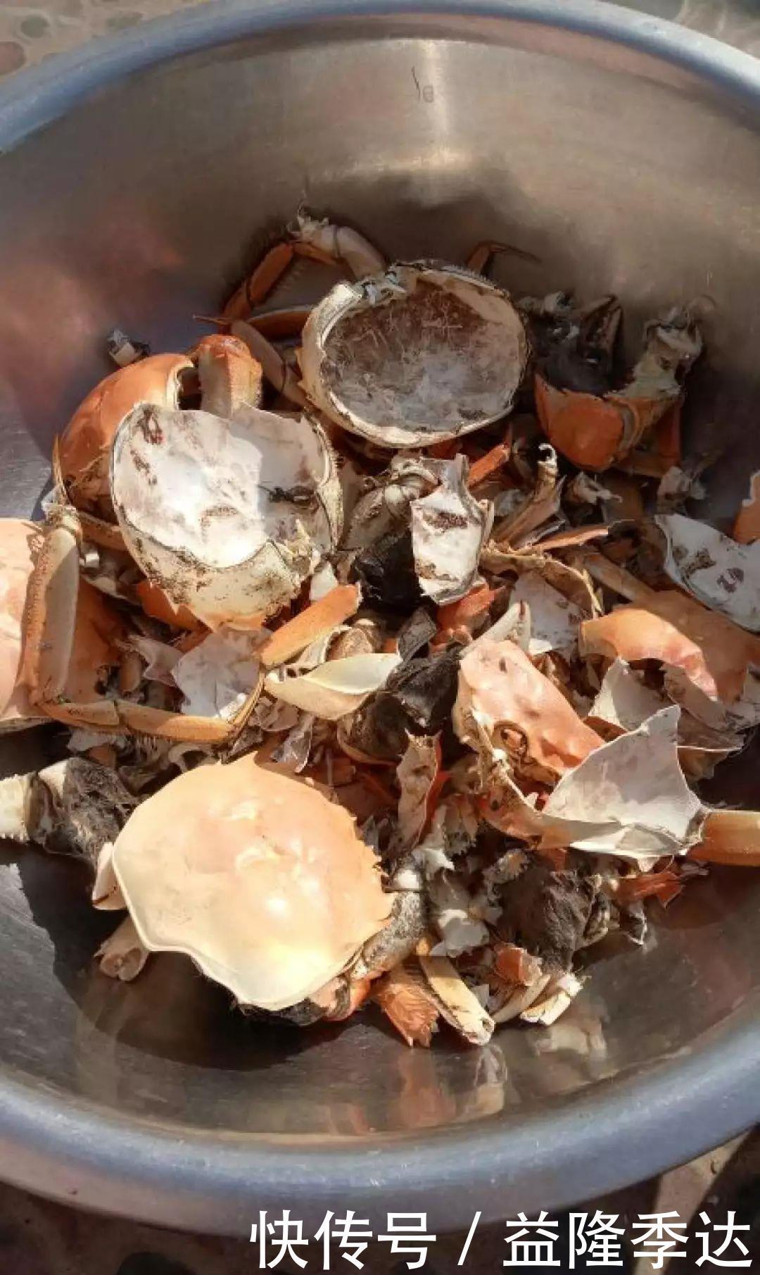 煤渣|家里吃剩的果皮，拿来养花嗖嗖长，不黄叶、开花多