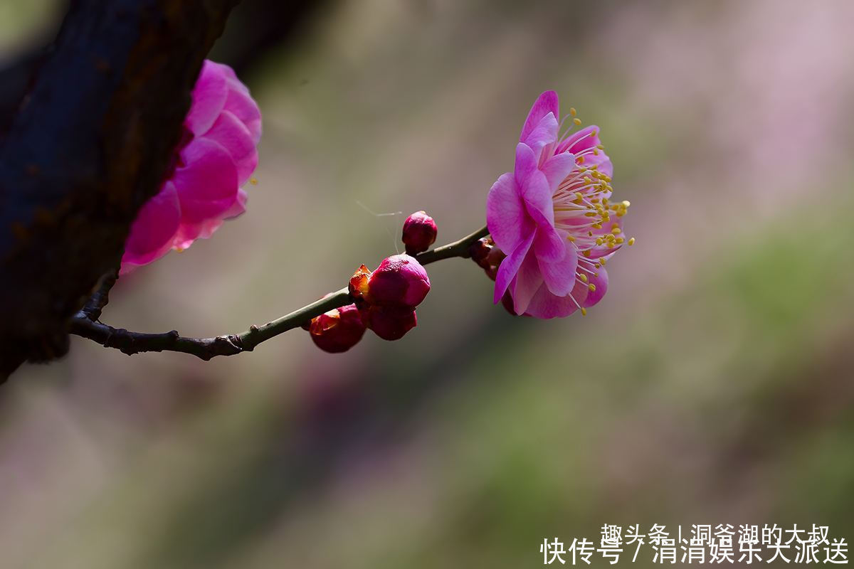 孩子|自己不舍得吃不舍得穿的3个生肖女，子女今后都有大出息