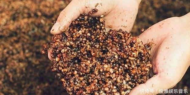 液态法白酒|买白酒时,不管啥牌子,只要瓶身上有这5个字,都是酒精勾兑酒