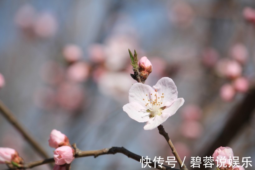 生肖女|天生是“美女”的3个生肖女，长得漂亮有气质，从不缺钱花