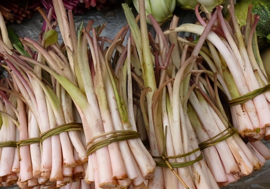 女性|女性不想老太快,多吃3种食物,补血益气,滋补身体,呵护子宫