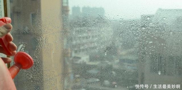 擦玻璃别用水了,教你用一秘招,擦完的玻璃光亮如新,方法太棒了!