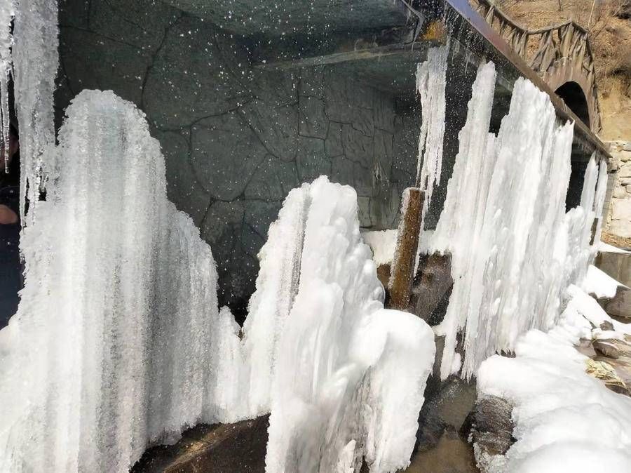 大寒雪|青未了｜大寒雪未消 冰挂各妖娆